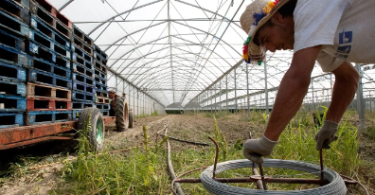 Modele-de-Contrat-de-Travail-Ouvrier-Agricole