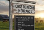Horse Boarding Insurance Cost