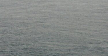 Cost of a Nuclear Stress Test Without Insurance