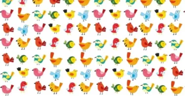 Dimostra di avere occhio da falco e trova i cinque uccelli senza coda in soli 9 secondi