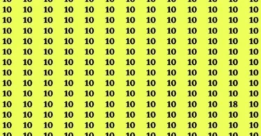Solo i più abili riescono a trovare il numero 18 nascosto nell’immagine
