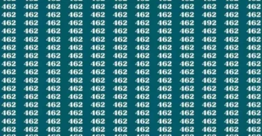 Trova il numero 492 nascosto in soli 10 secondi e dimostra di avere doti visive altissime
