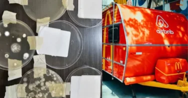 Un utente di Airbnb testa la qualità dell’aria per l’odore di muffa, il padrone di casa nega il problema: i risultati sono allarmanti