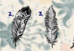 Vuoi conoscere la tua vera missione in questa vita? Scegli una piuma e scoprilo