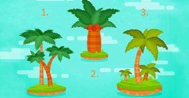 Test: scegli una palma e scopri cosa ti aspetta quest'estate!